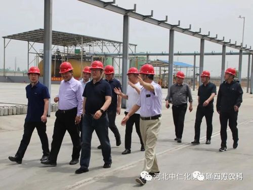 �_���h�I(l��ng)���W�R���ʼ��F����ָ��