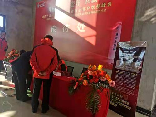 ����_������|����ʡ����